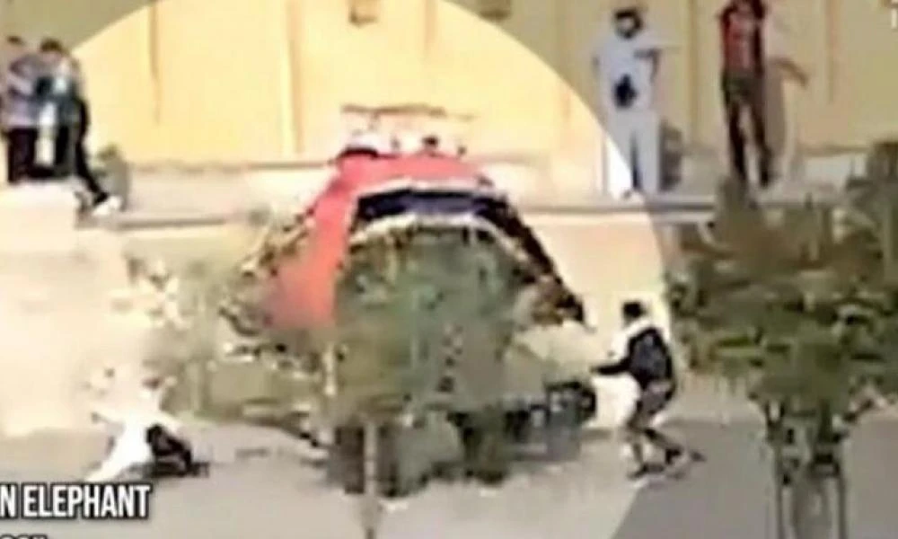 Ινδία: Τρομακτικό βίντεο με ελέφαντα να πετά σαν κούκλα τουρίστρια από τη Ρωσία